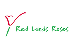 Red Lands Roses