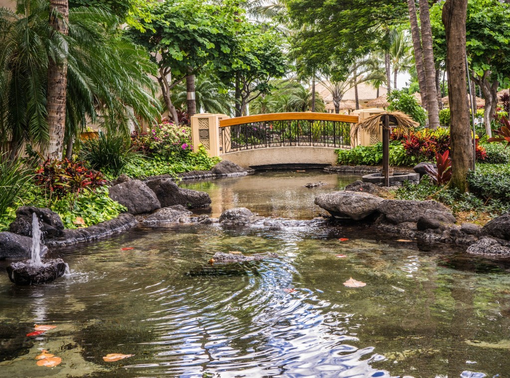 pond-resort-1008326_1920
