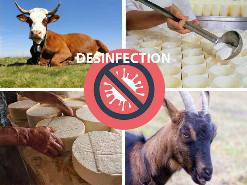 affiche producteur fromager Traiter eau pseudomodas