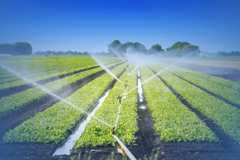Traitement de l'eau UV agriculture